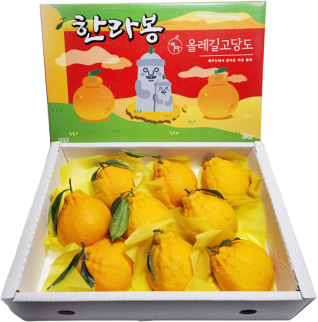 명절 설 선물세트 선물용 한라봉, 1박스, [선물용] 한라봉 3kg (8-12과)