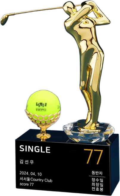 골프 트로피 싱글기념패 홀인원패 이글트로피, 1개, 선택7