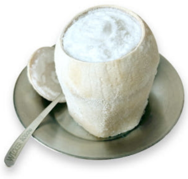 (수도권 당일주문 당일도착) 코코넛 샤베트 드라이아이스 기본 포장, 20개, 170ml