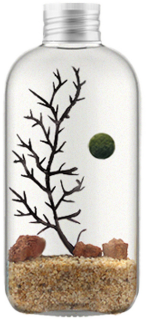 세남자바스켓 오션 보틀 마리모 키우기 DIY세트, 제주 1개, 1개