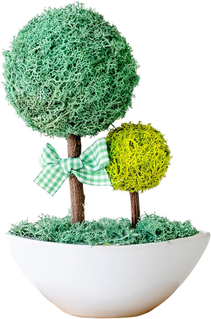 스칸디아모스 달빛모스 화분, 1개, 03_퍼시픽그린