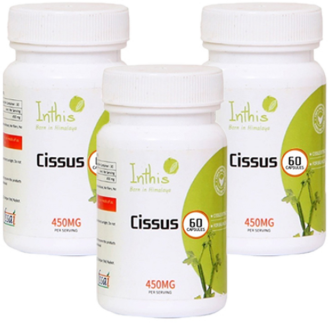 인디스본 히말라야 시서스 캡슐 450mg(6개씩 분할배송), 60정, 3개