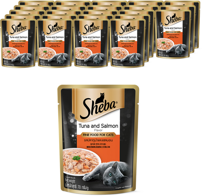 쉬바 1세이상 고양이 주식 파우치, 연어+참치, 70g, 24개