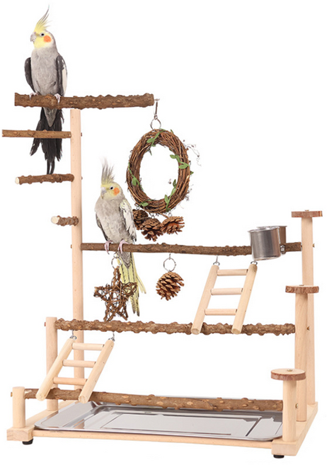 칠시 앵무새 4단 놀이터 횃대, 혼합색상, 1개