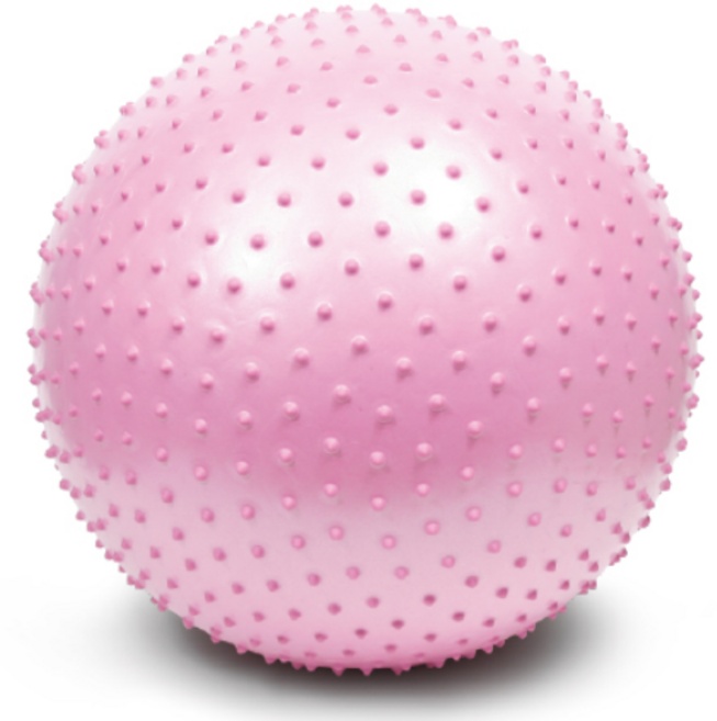 에코리즈 안티버스트 짐볼, 마사지 핑크