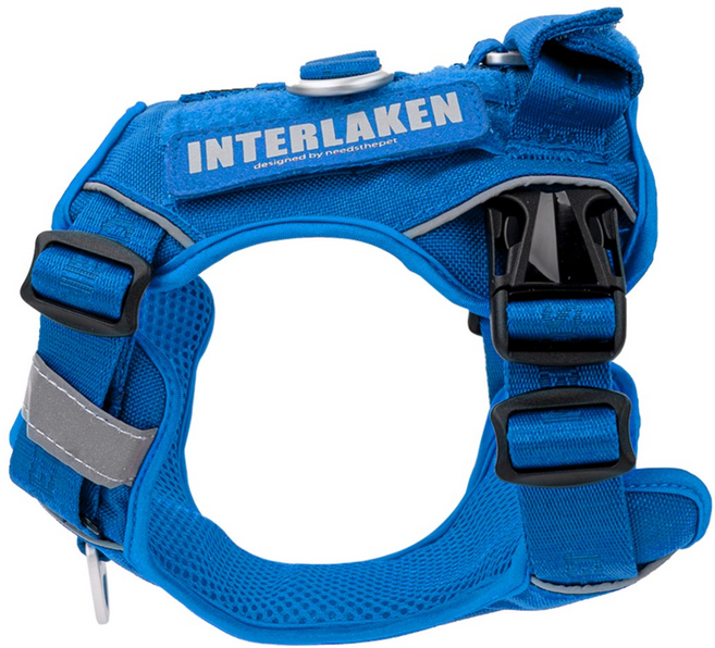 인터라켄 중형견 대형견 커스텀 강아지 하네스, 블루, 1개