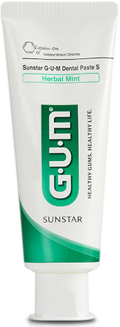 검 덴탈페이스트에스 치약, 130g, 1개