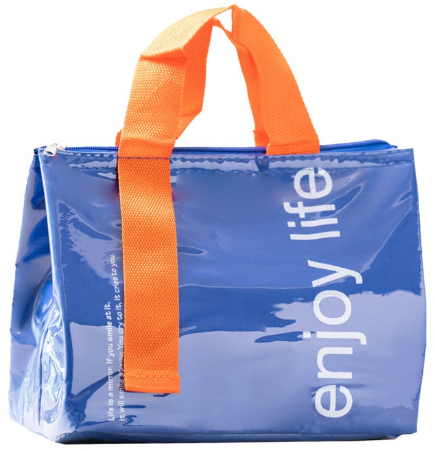 타닥 비비드 보냉가방 런치백 휴대용 보온 보냉백, 8L, 블루