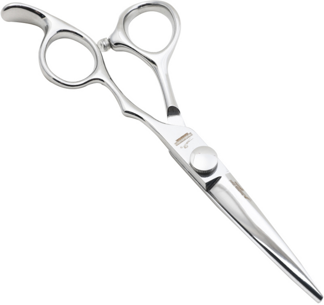 아이치 헤어 커트 전문가용 미용가위 AI-AM, AM_5.5 실버, 1개