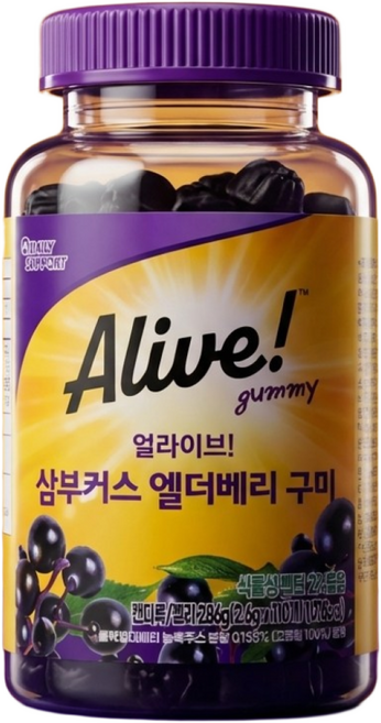 얼라이브 삼부커스 엘더베리 구미임, 1개, 110정