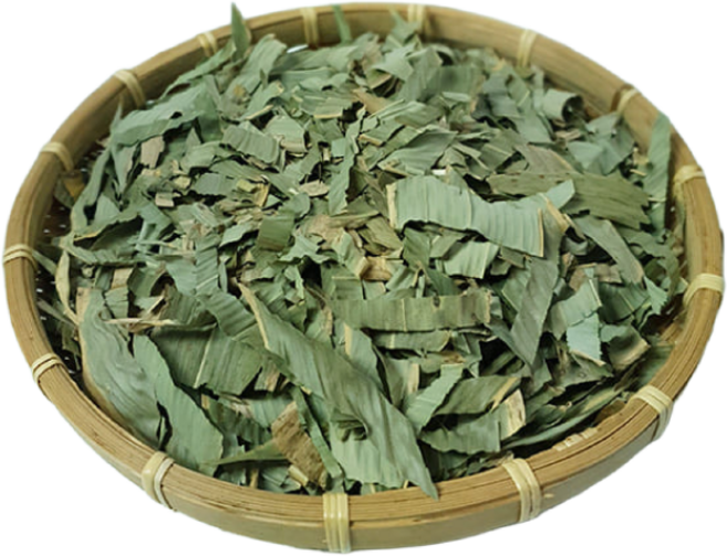 백장생 제주 얼룩 조릿대 담죽엽 산죽, 200g, 1개