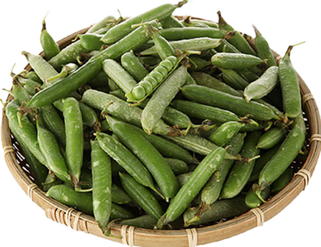 국내산 햇 완두콩 최상품, 1kg, 1개