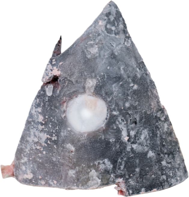 스마트수 눈다랑어 머리(중) (대) 15kg 업소용 대용량 식당 냉동 참치회, 1개, 눈다랑어 머리(중) 15kg