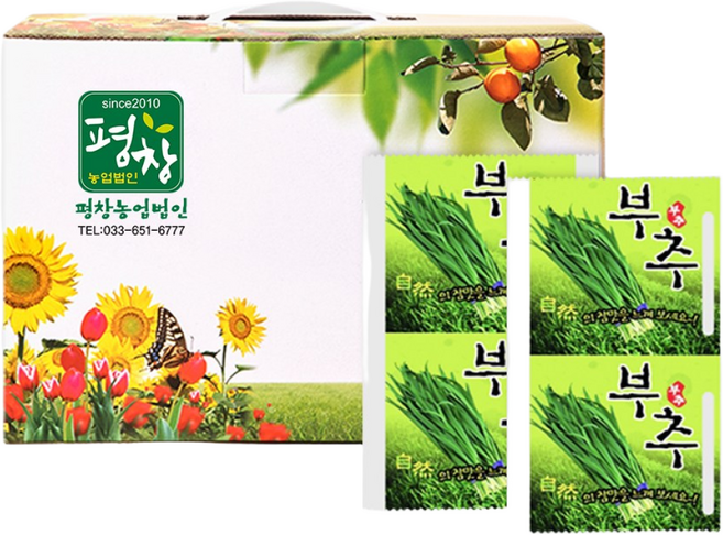 [평창농업법인] 국내산 부추100% 부추즙(120mlX50팩), 50개, 120ml