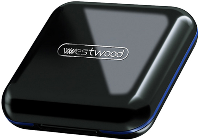 오마이남친 휴대용 영양제 알약 케이스, 블랙, 1개