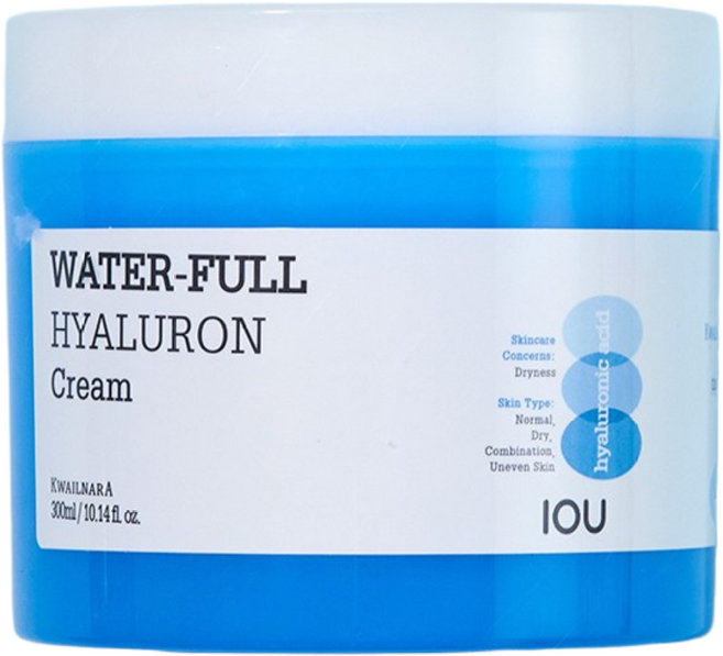 아이오유 수퍼아쿠아 모이스트 수분크림, 300g, 2개