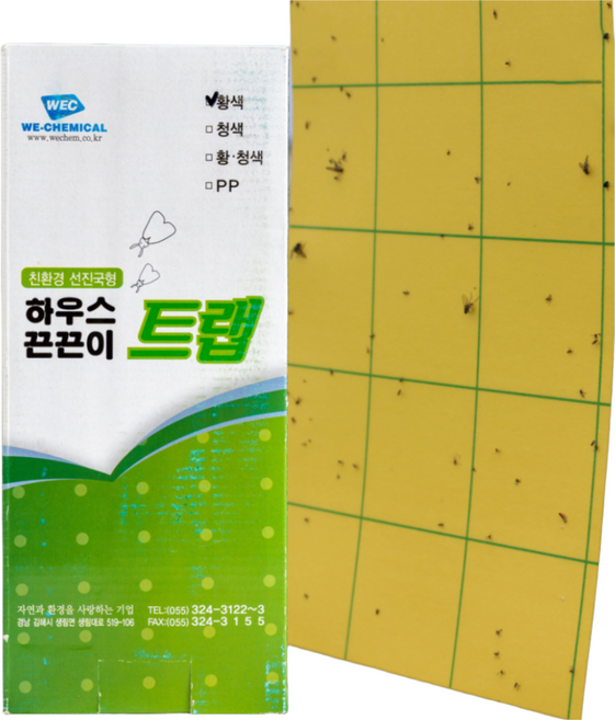 나방류 총채벌레 노린재 하우스 노란끈끈이트랩 25x10 (1각 50매), 50매입, 1개