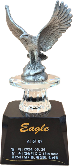 상패팡팡 골프트로피 홀인원트로피 싱글패 이글패 홀인원기념패 홀인원패009, 1개, 실버