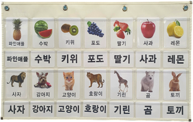 쑥쑥이차트 M-5 한글안녕 낱말카드 수납 차트 양면 한글 공구 통글자 아이보리 1개, 양면(앞면+뒷면)