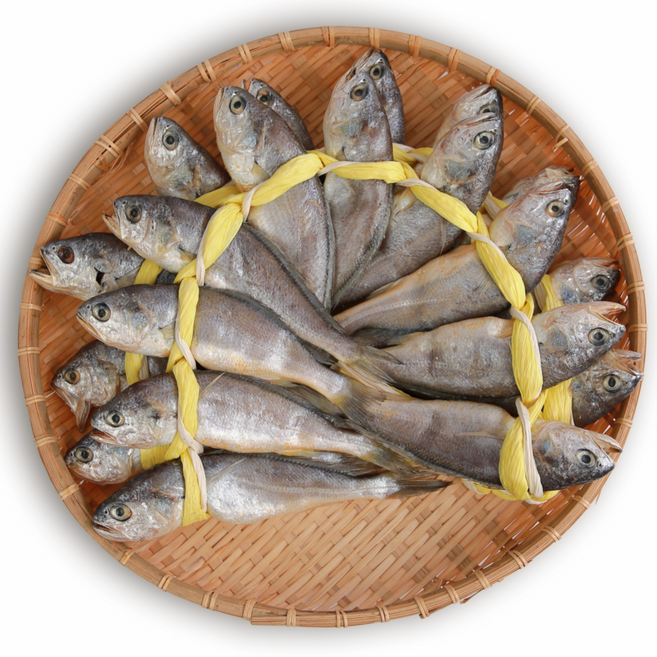 [HACCP] 백순기굴비 가정용 참굴비 20미 세트, 1박스, 참굴비5호 20미 1.8kg