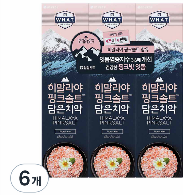 히말라야핑크솔트 담은 치약 플로럴, 100g, 6개
