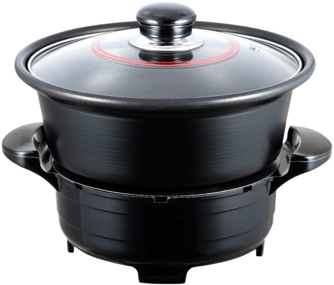 대원가전산업사 허니문 다용도 전기 냄비, DW-097WS