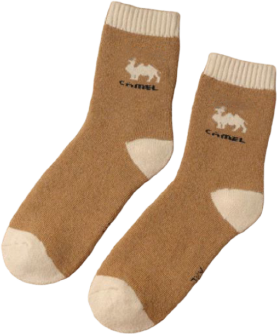 남성 여성 겨울 울 양말 등산 방한 낙타양말 1+1+1, 3개