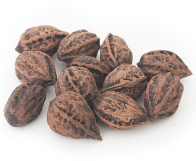 백장생 국내산 가래열매 600g 추자열매, 1개