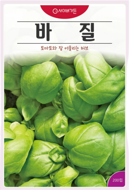 고급 바질 씨앗 (200립)바실 허브 꽃 관상 약용 차 종자 씨 영웅 Basil seeds, 1개