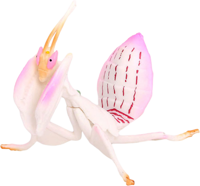 제트피규어 난초 사마귀 곤충 피규어 장난감 모형, 1개