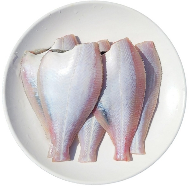 [산지직송] 당일경매 당일손질 급냉 포항 참가자미 220g 10마리, 1.3kg 내외 (5팩/10마리), 1개