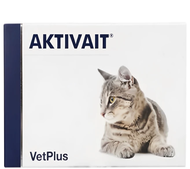 벳플러스 고양이 액티베이트 영양제 60p, 60정, 350g, 뼈/관절강화, 1개 - 쿠팡