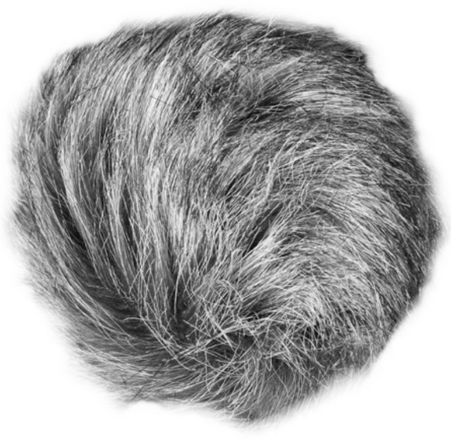 WSU-1 범용 윈드 스크린 줌 [정품] ZOOM H6 H4n H2n Q2HD iQ5