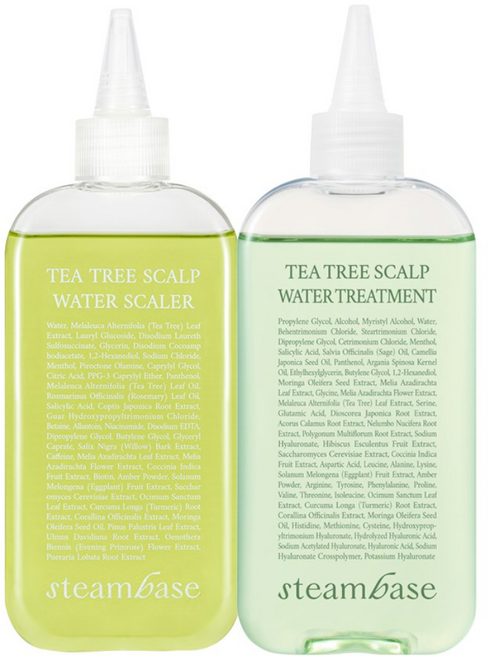 [공식] 스팀베이스 쿨링 두피 유분개선 티트리 스칼프 워터 스케일러 250ml+트리트먼트 250ml 세트, 1세트