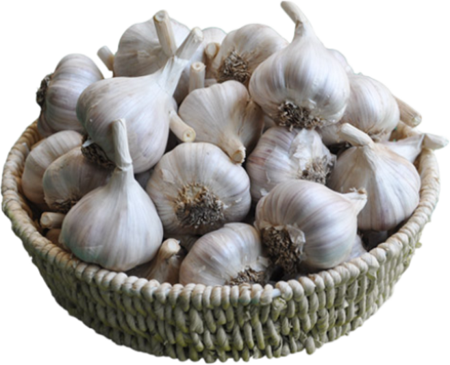 2025년 의성마늘 육쪽 통마늘 한지형 국산마늘 김장용 햇마늘 토종마늘, 1개, 대품 4kg 약 90-100개