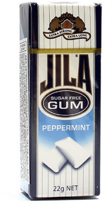 자일라껌 페퍼민트 향 무설탕 껌, 22g, 1개