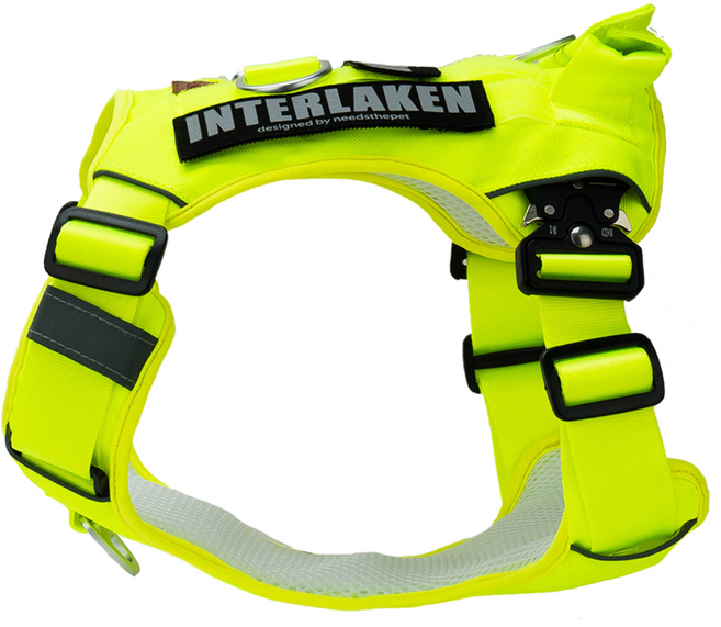 인터라켄 중형견 대형견 커스텀 강아지 하네스, 네온옐로우, 1개