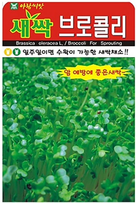 새싹 브로콜리 씨앗 30g 비빔밥 샐러드 샌드위치 햄버거 냉면 국수 김밥 쥬스 종자, 1개