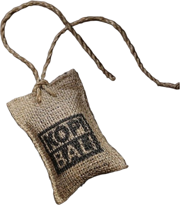 아라비카 커피 초코 커피 향 방향제 천연원두 차량용 실내용, 발리 커피향, 1개