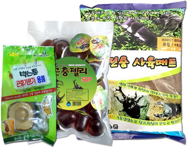 벅스존 프리미엄 곤충용품 세트, 혼합색상, 1세트