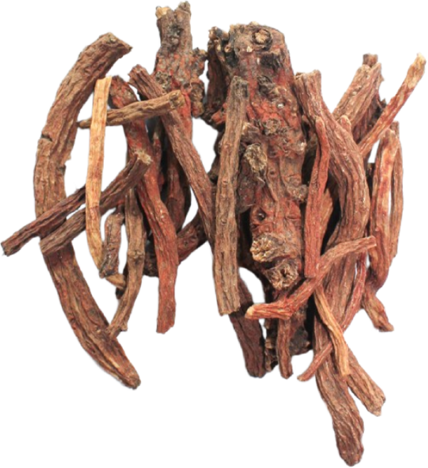 갑당약초 국내산 단삼 300g 적삼 단삼차, 1개