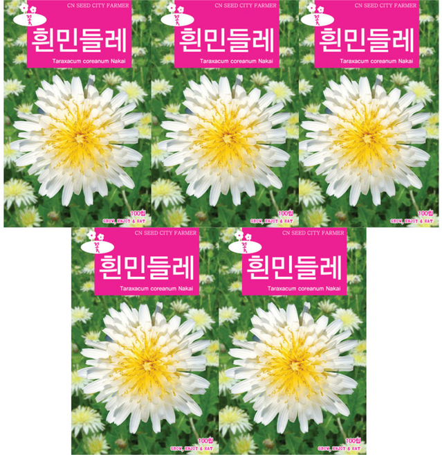 모두다 꽃씨앗 흰민들레씨앗(100립), 5개