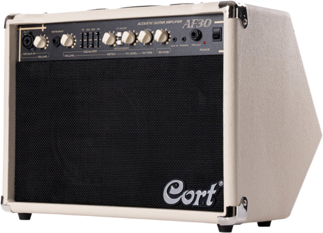 콜트 어쿠스틱 앰프 AF30 버스킹용, 1개