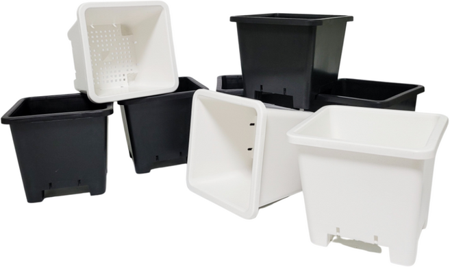 다육이야기 국산 사각 슬릿 플라스틱 플분 화분 0.5호 블랙 화이트, 6호(10개사면 1개 더), 검정