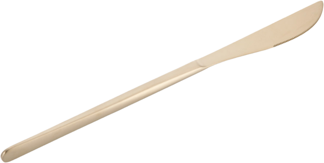 에델코첸 루나 커트러리 테이블나이프 (사틴_샴페인골드), 1개, 나이프, 샴페인골드