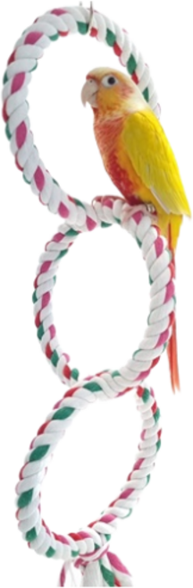 앵파크 앵무새 그네 매직로프 3단 링 사다리 유격대 놀이터 장난감, 1개