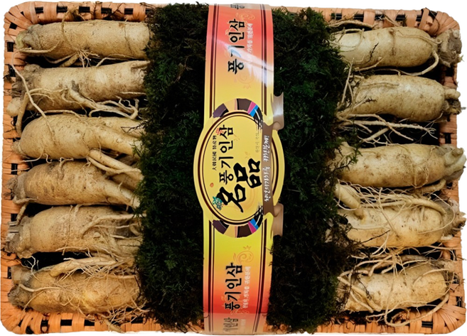 6년근 풍기 인삼 수삼 원수삼 최상급 선물세트 10호 / 왕대 1.5kg / 10~12뿌리, 1세트