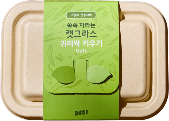 3651 쑥쑥 자라는 캣그라스 키우기 재배세트, 1개, 160g, 귀리싹