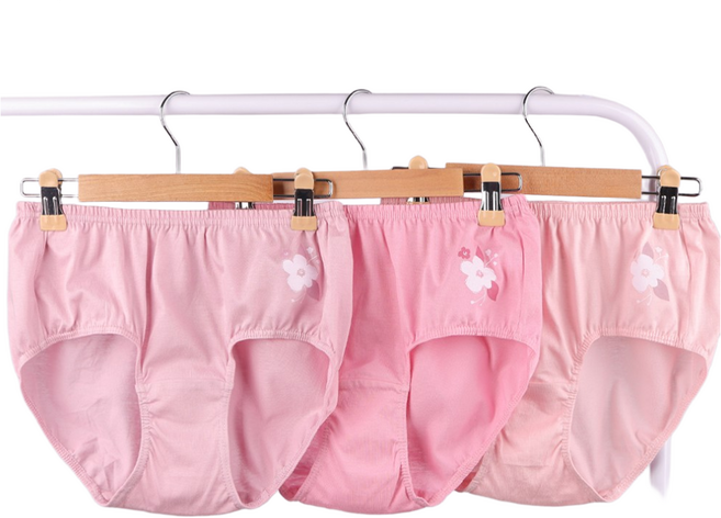 BYC 순면 여성 맥시 삼각 팬티 3매입