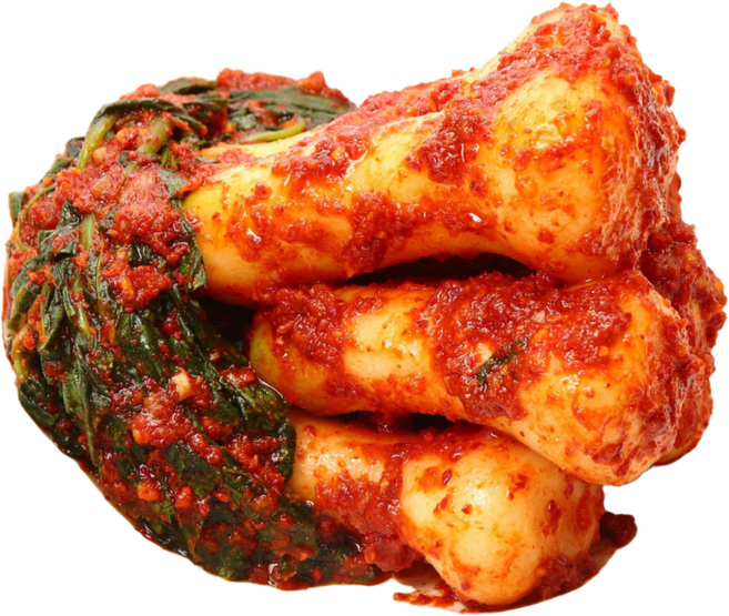 [당일생산][당일출발]신영식품 정담은 총각김치 2kg 3kg 5kg, 1개